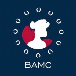 BAMC X Cool pixel cats logo