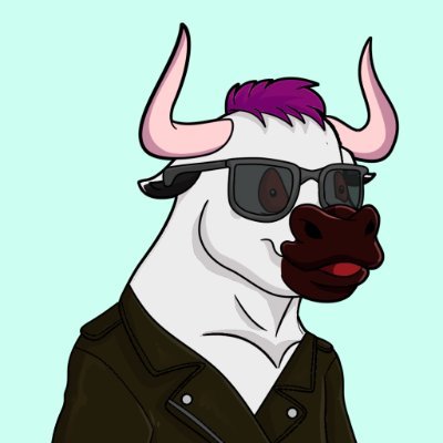 Bears vs Bulls logo