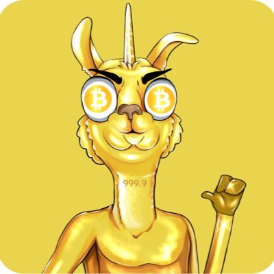 Bullish Llama logo