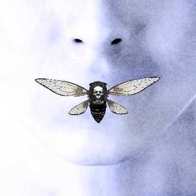 Cicadas Finance logo
