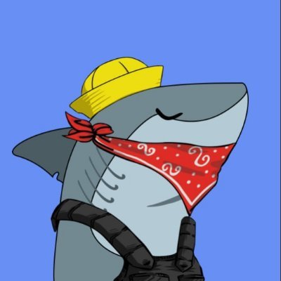 Crypto Shark Club logo