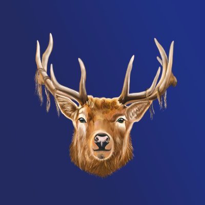 Crypto Spirits logo