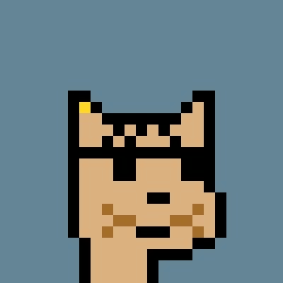 CryptoCatPunks by Studio Moduler logo