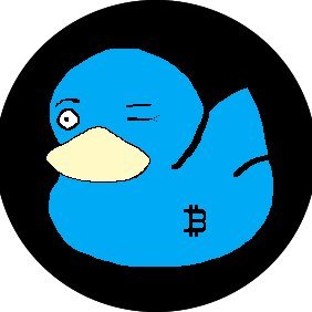 Dorky Ducks logo