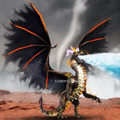 Elemento Dragons logo