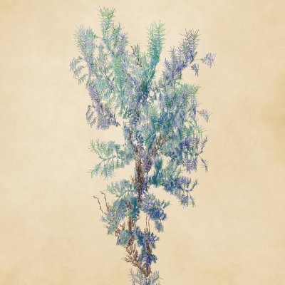 Floral Fractal logo