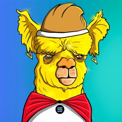 Multiverse Llama logo