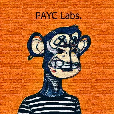 PAYC - Monthly NFT membership logo