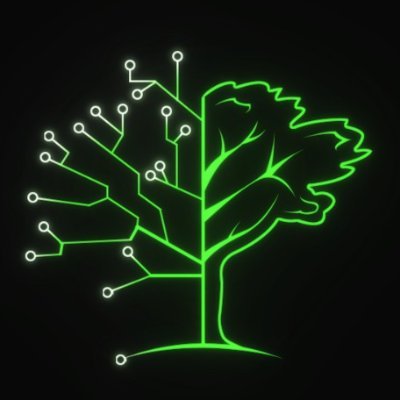Project: C4Changemaking / Collection: C4Meadow logo
