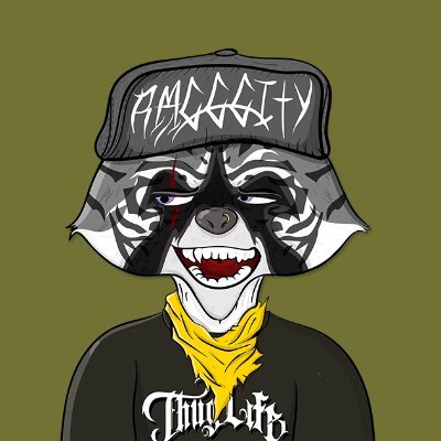 Raccoons logo