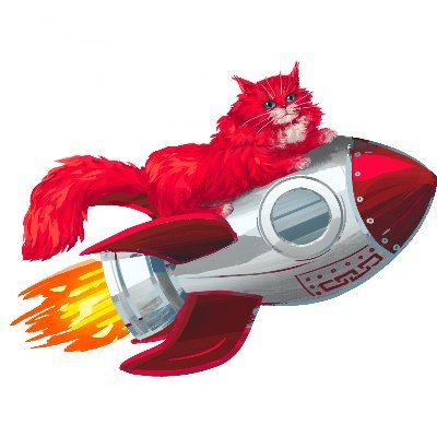 Red Cat Multiverse logo