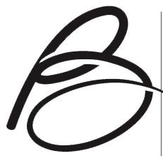 Satoshi's Vision logo