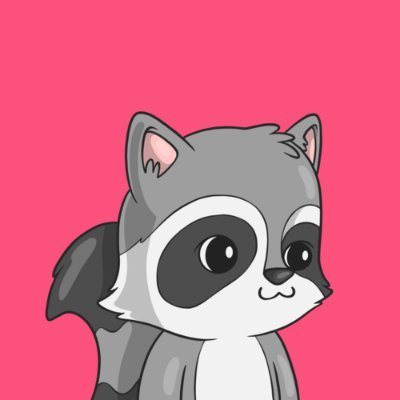 Sweet Baby Raccoons logo