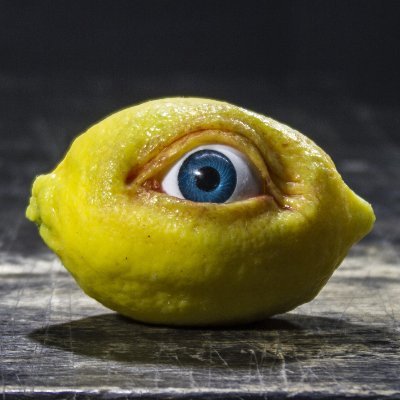 THE ALL SEEING LEMON logo