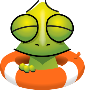 The Karma Chameleons logo