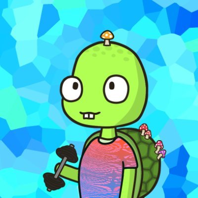 Turtle Rescue logo