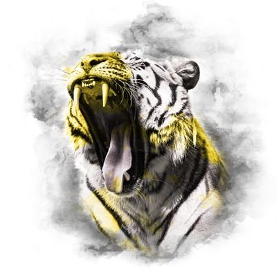 YELLOW SERIES - The Animal Kingdom Collection by AQOMI logo